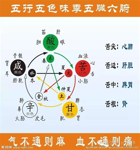 蓝色 五行|蓝色在五行里属什么